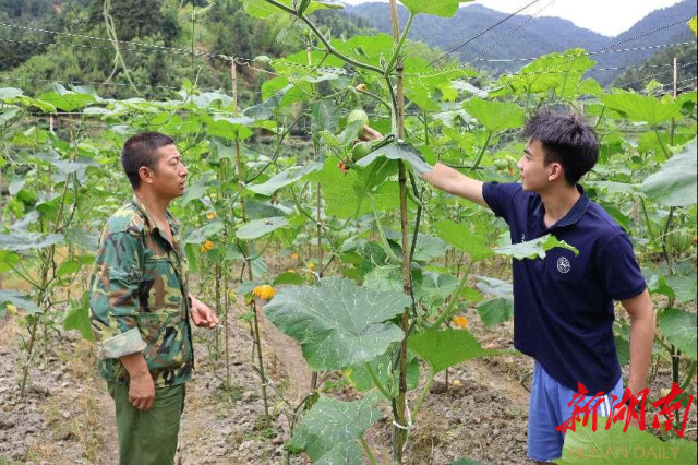 新葡的京集团8814“领梦者·弘帆”暑期社会实践团深耕渣坪乡，探寻“三农”解题之道
