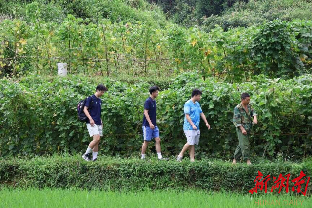 新葡的京集团8814“领梦者·弘帆”暑期社会实践团深耕渣坪乡，探寻“三农”解题之道